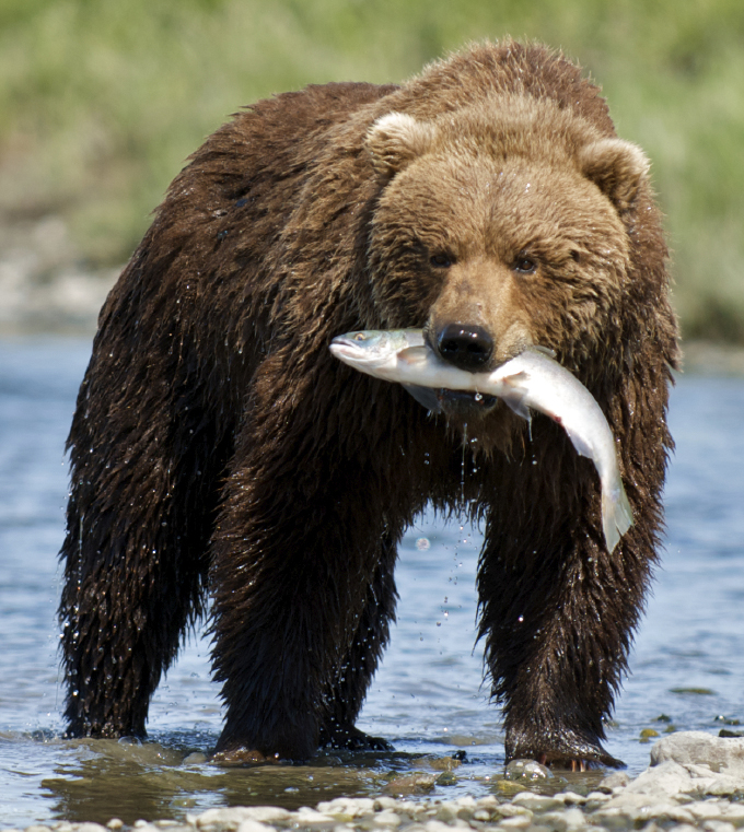 Dating-sites fischen viel