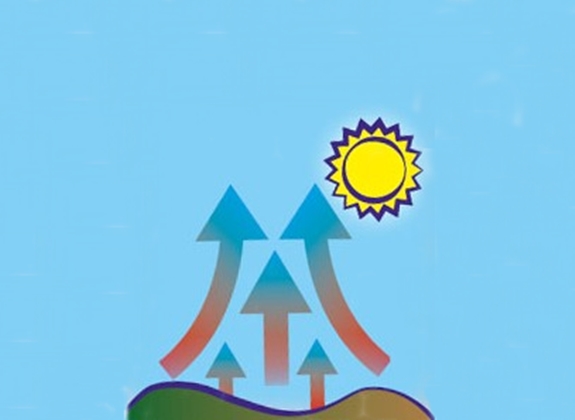 Grafik1.jpg
