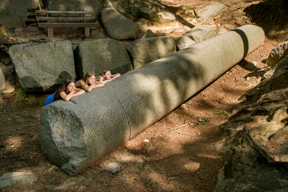 _DSC8386.jpg