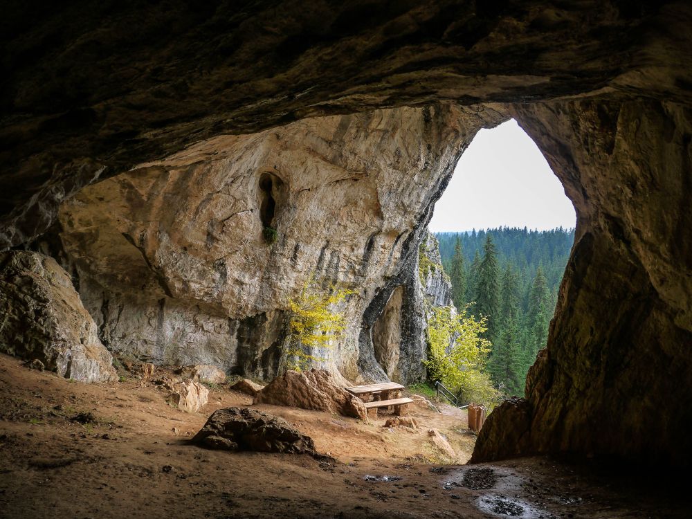 Amer Sipovic/shutterstock.com