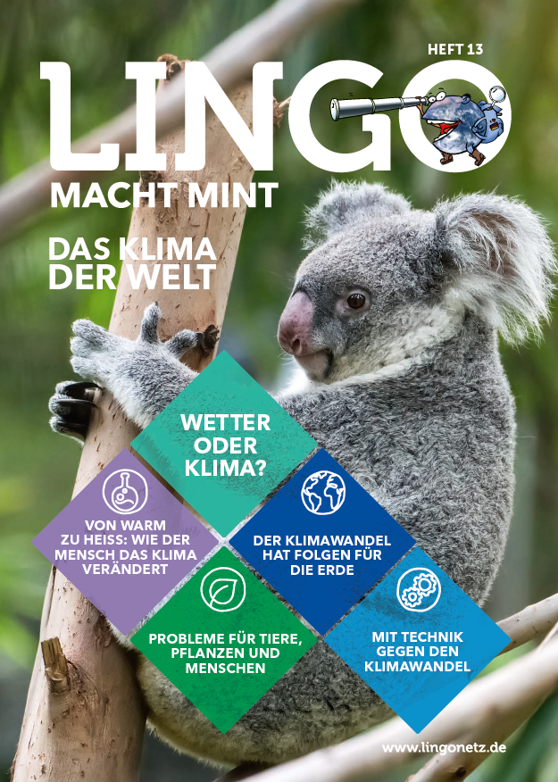 Lingo macht MINT Titel Ausgabe 12.jpg
