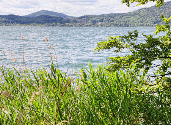 Ufer eines Sees. Foto: iStock.com/hsvrs