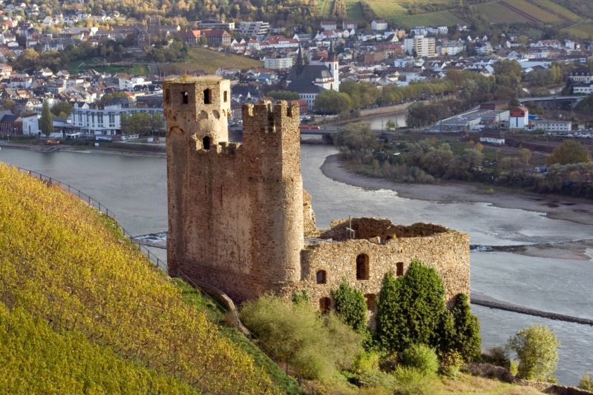 Die Ruine der Burg Ehrenfels steht auf einem Hügel am Rhein.