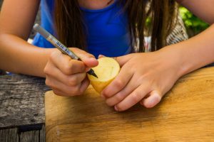 Ein Mädchen malt eine Form auf eine Kartoffelhälfte.