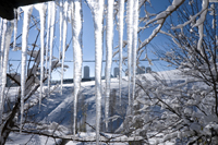 Eiszapfen hängen von einem Vorsprung, dahinter liegt ein Schneefeld.