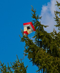Ein Flugdrachen ist in einen Tannenbaum geflogen.