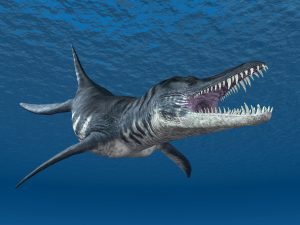 Ein Liopleurodon schwimmt im Wasser. Er hat den Mund aufgerissen: Man kann seine vielen Zähne sehen.