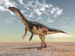 Ein Plateosaurus, ein mittelgroßer Dinosaurier.