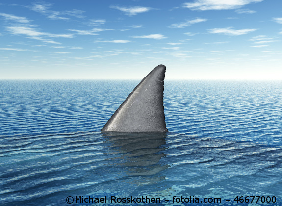Eine große dreieckige Haiflosse ragt aus einer Meeresoberfläche hervor.