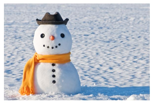 Ein Schneemann steht auf einem verschneiten Feld mit orangenem Schal und braunem Hut.