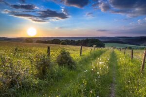 Eine Sonne geht über einem Feld unter.