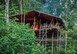 Ein Baumhaus auf Stelzen in Papua-Neuguinea. 
