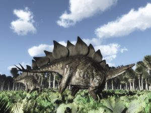 Ein Stegosaurus, ein Dinosaurier mit großen Stacheln auf dem Rücken.