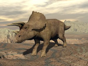 Ein Triceratops, Ein Dinosaurier mit großen Ohren und langen Hörnern.