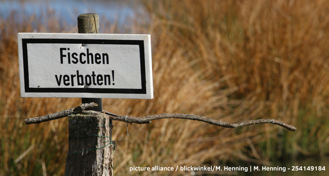 Ein weißes Schild mit der Aufschrift “Fischen Verboten” befindet sich vor einem See und braunen Ufergewächsen. Unter dem Schild befindet sich eine verfallene, hölzerne Absperrung.