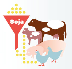 Auf einem Bild werden Tiere in Massentierhaltung mit Soja gefüttert. Das soll gegen Produkte aus Massentierhaltung protestieren. 