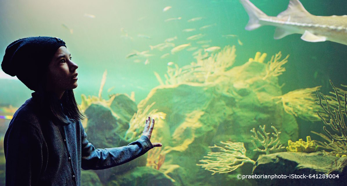 Ein Mädchen steht vor einem großen Fischtanker in einem Unterwassermuseum. Dort schwimmt ein Schwarm Fische.