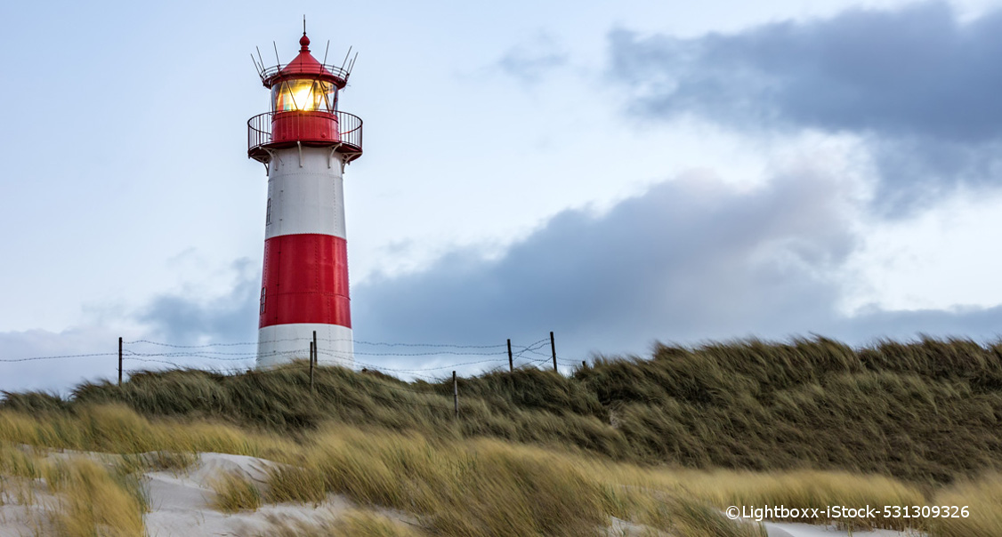 Ein rot-weiß gestreifter Leuchtturm steht im Hintergrund des Bildes. Im Gelände vor ihm stehen grüne Strandsträucher.