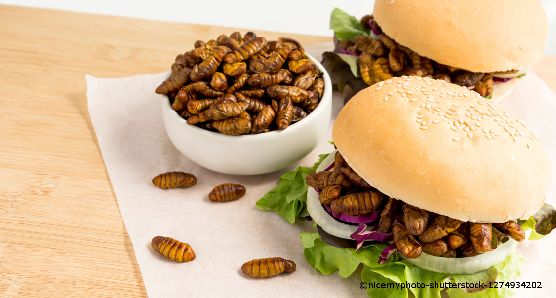 Insektenburger und eine Schale voller Insektenlarven stehen zum Essen bereit.