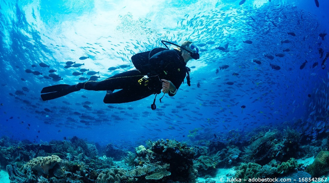 Ein Taucher unter Wasser, ein großer Schwarm Fische und Meerespflanzen.  