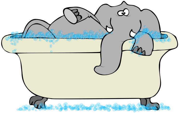 Ein Cartoon von einem grauen Elefanten in einer Badewanne.