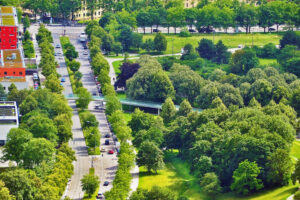 Viele Bäume und Wiesen neben einer Straße mit Autos.