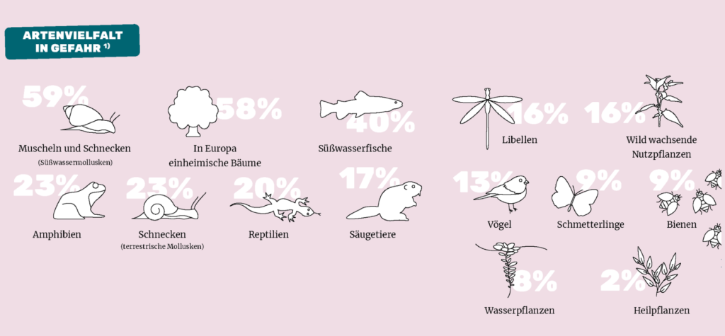 Artenvielfalt in Gefahr: Zahlen zu in Europa gefährdeten Arten