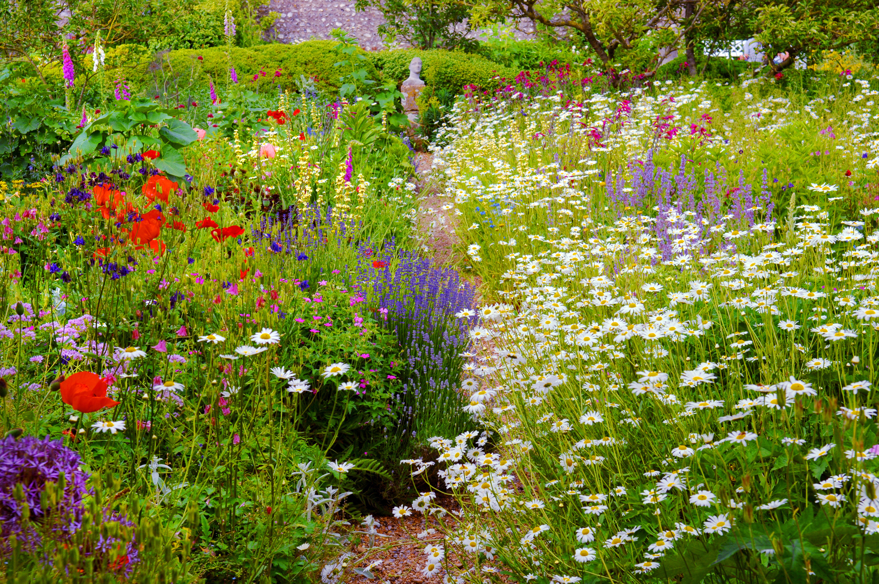 Der Garten Check für jeden Garten: Biodiversität fördern