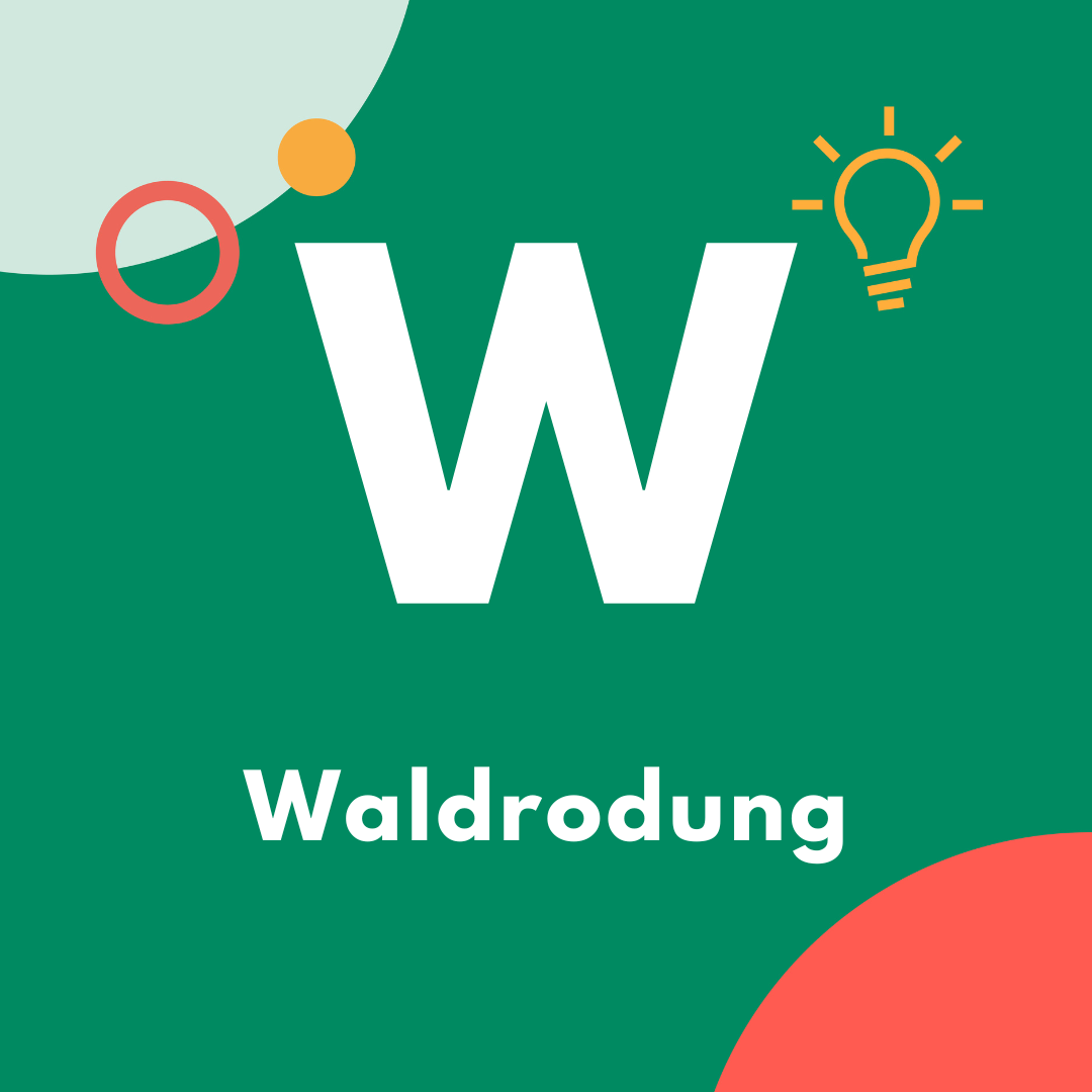 Agroforstwirtschaft Lingonetz