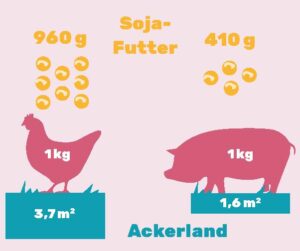 Hunger auf der Welt Grafik