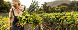 Welt ohne Hunger: Eine Kleinbäuerin erntet Salat und Gemüse auf ihrem Feld.