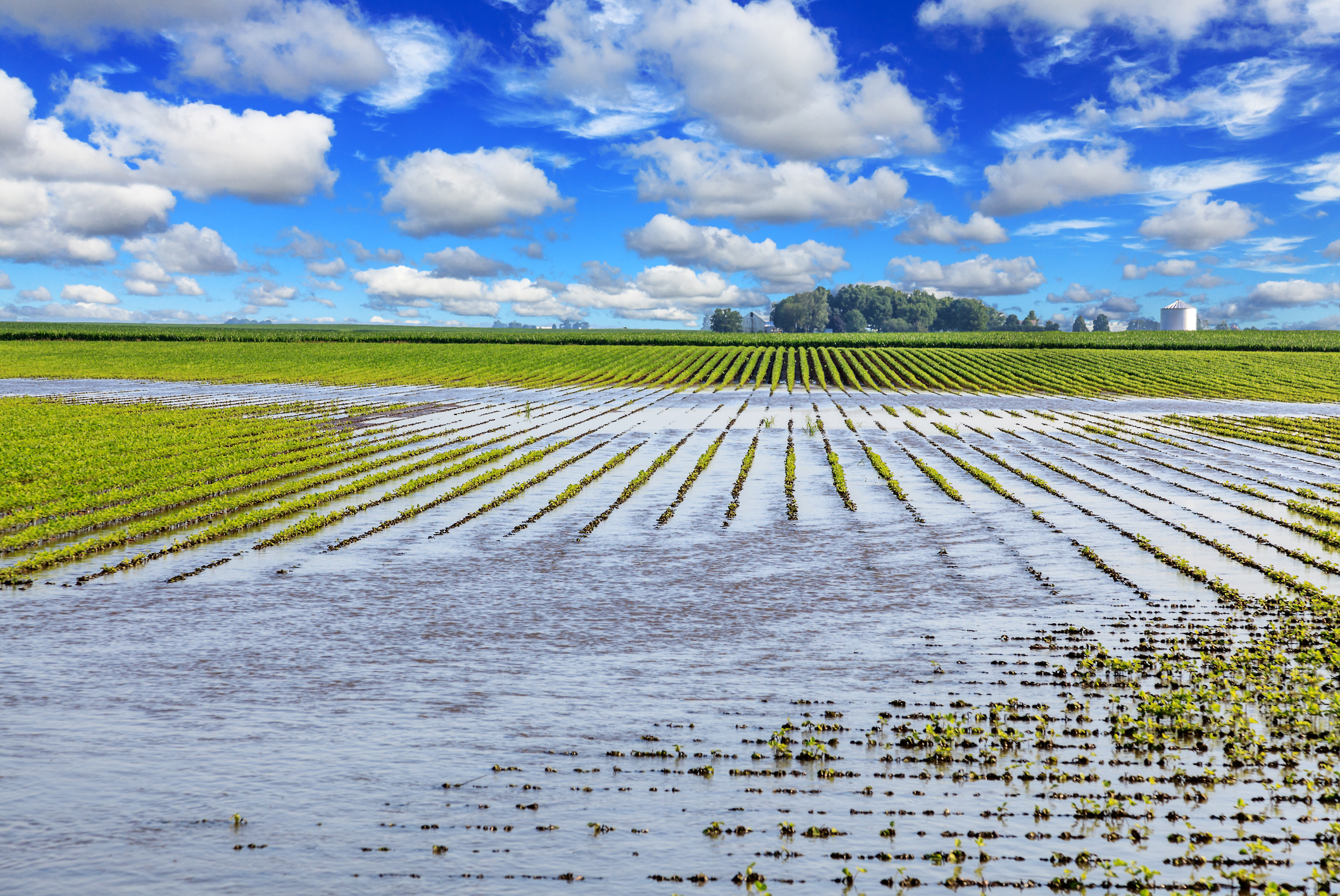 Hunger auf der Welt durch Wetterschäden